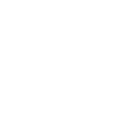 RIC Packers & Movers
