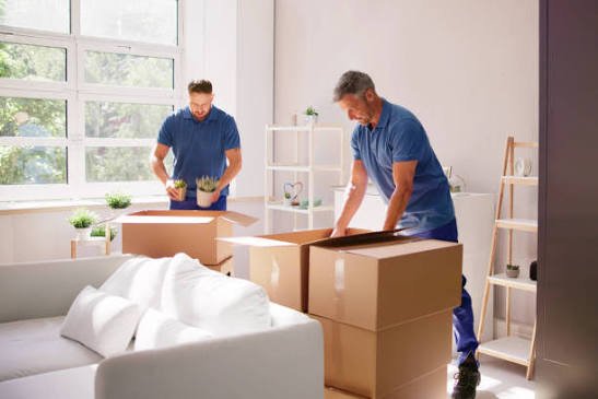 Packing and Unpacking Services